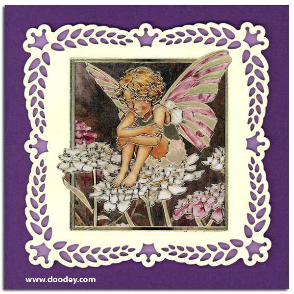 card with flower fairy candytuft with background c