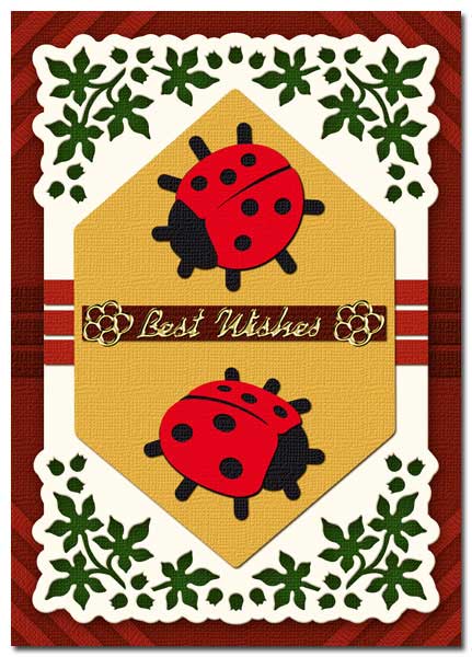 Card with ladybugs