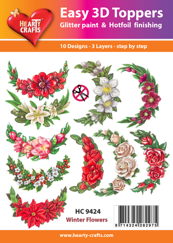 HC9424 Easy 3D - Winter Flowers
