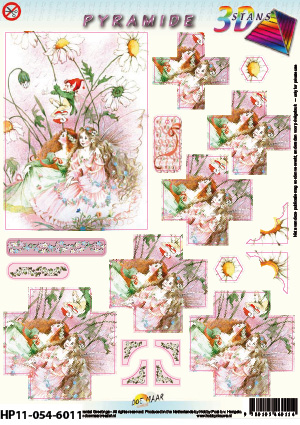 HP11-054-6011 