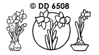DD6508 Daffodils Various