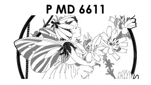 PMD6611 > Flower Fairies chicory