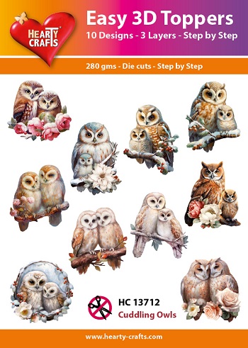 HC13712 Easy 3D Toppers - Cuddling Owls