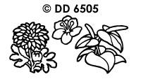 DD6505 Flowers Various