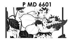 PMD6601 > Flower Fairies strawberry